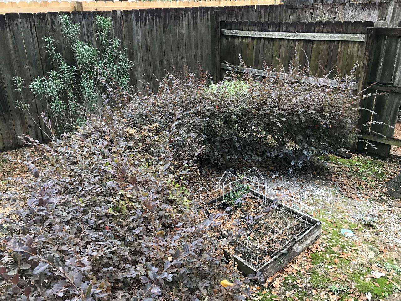 Pick Your Favorite Desperate Landscape Transformation America S Most Desperate Landscape Diy