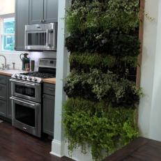 Modern Gray Kitchen with Living Plant Wall 