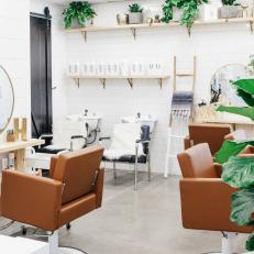 Frosted Glass Surrounds Bohemian Salon, Letting in Natural Light