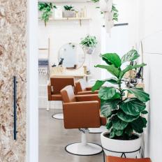 Welcoming Salon Environment with Green Plants