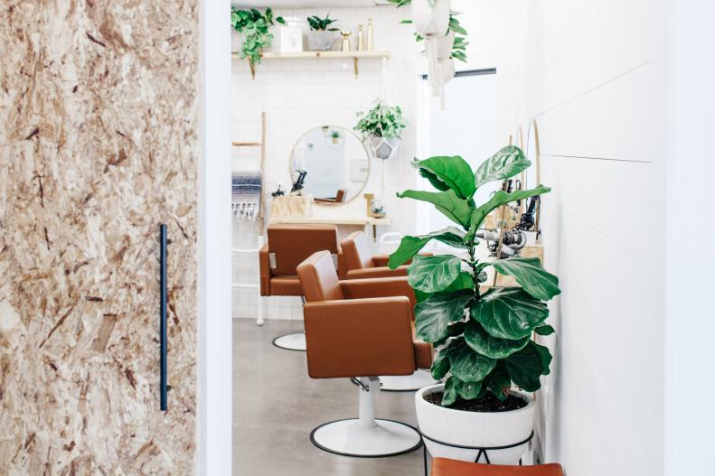 Green Plants in Salon Create Welcoming Environment