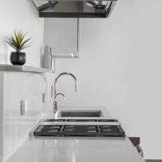 Black and White Modern Kitchen With Houseplant