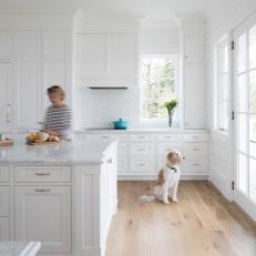 White Chef Kitchen With Dog