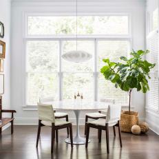 Transitional Dining Room With Tree
