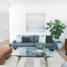 Mid-Century Modern Living Room With Gray Sofa