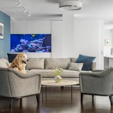 Blue Transitional Living Room With Dog