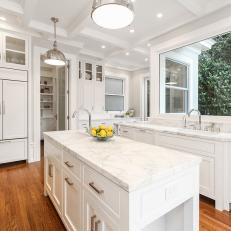 White Transitional Chef Kitchen With Wood Floors