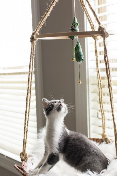 Easy Diys For Cats And Cat Lovers Hgtv