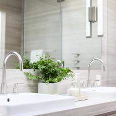 Gray Double Vanity Bathroom With Fern