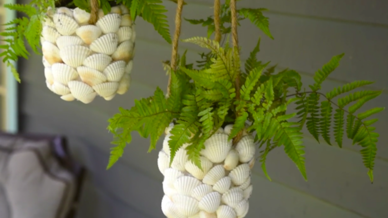 Make a Seashell Planter  Inspired Ideas - New England