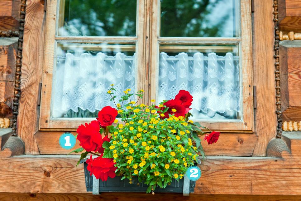 14 Simply Stunning Summer Window Boxes | HGTV