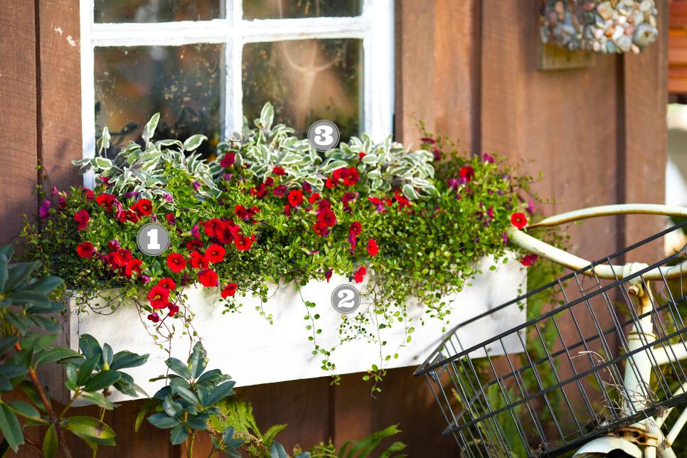 14 Simply Stunning Summer Window Boxes | HGTV