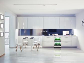 modern kitchen interior. design concept