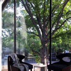 Sitting Area Next to Glass Wall With View of Tree