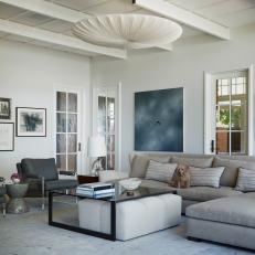 Gray Contemporary Living Room With Dog 