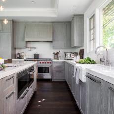 Metropolitan Living Contemporary Kitchen with Gray Cabinets