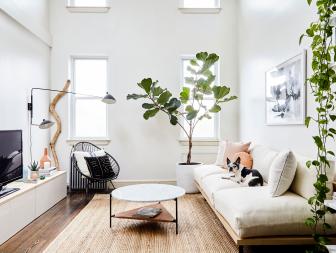 One of the major treats in Tina and Jared’s home is the loft-like setting. Walls that reach over 10 feet high allow for light to stream in. Skylights above the living area and kitchen are a big part of the sunny interior.  It's perfect for a home where plants are in abundance. 