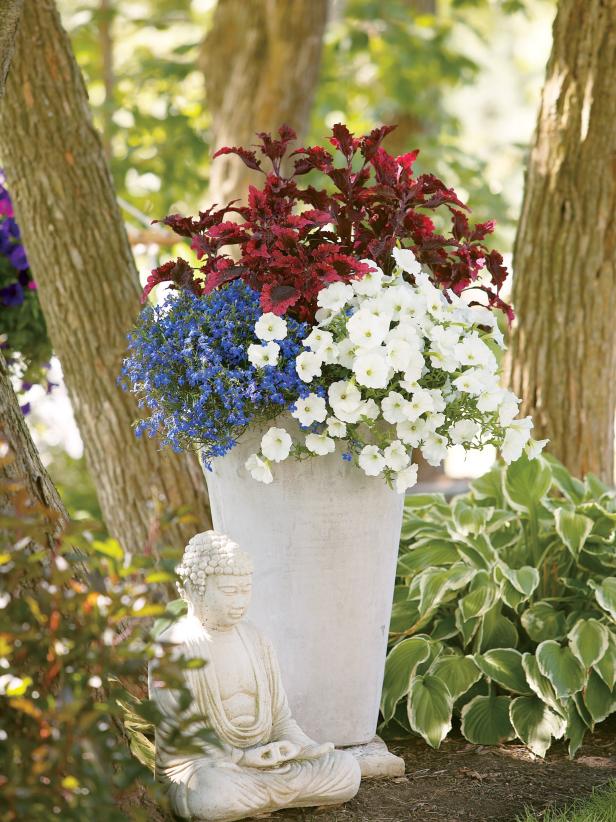 Red, White and Blue Flowers and Foliage