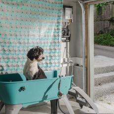 Blue and Gray Pet-Bathing Station