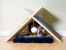 Modern Cat Tent Beauty2