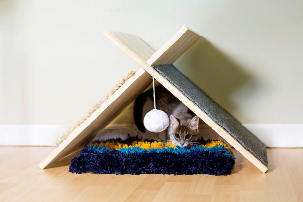 Modern Cat Tent Beauty2