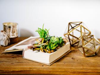 Display your one of a kind book planter on your desk. 