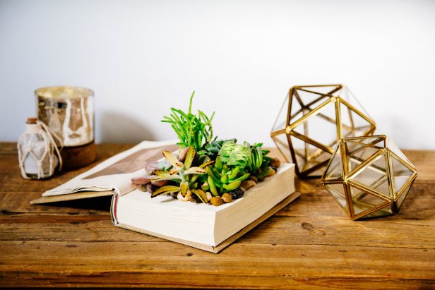 Display your one of a kind book planter on your desk. 