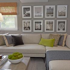 Modern Gray Living Room with Neutral Area Rug