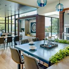 Modern Open Plan Kitchen and Dining Area With Plants