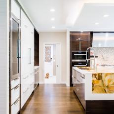 Contemporary Neutral Chef Kitchen and Dog