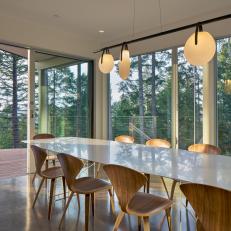 Modern Dining Room and Deck With Trees