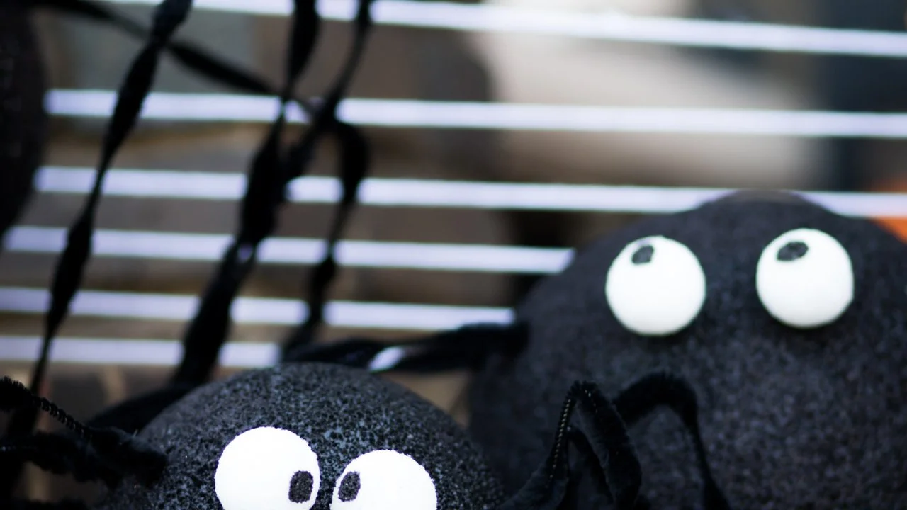 How to Make Perfect DIY Spooky Spiders | HGTV