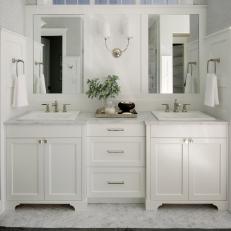 Gray Transitional Master Bathroom With Branches