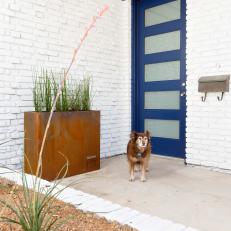 Bright Blue-and-White Dog Hotel Entryway