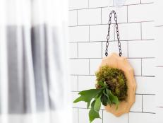Take these beauties out of the pots, and put them on the walls in minutes with this simple DIY tutorial.