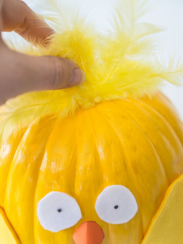 Use hot glue to affix facial features onto each pumpkin pet.  Pinch the ends of 6-8 yellow craft feathers together and add a dab of hot glue.  While glue is still hot, stick onto bird pumpkin, just in front of the stem.  Hold in place and allow to cool.