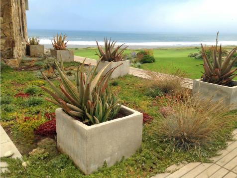 Cutting-Edge Landscape Designers to Check Out