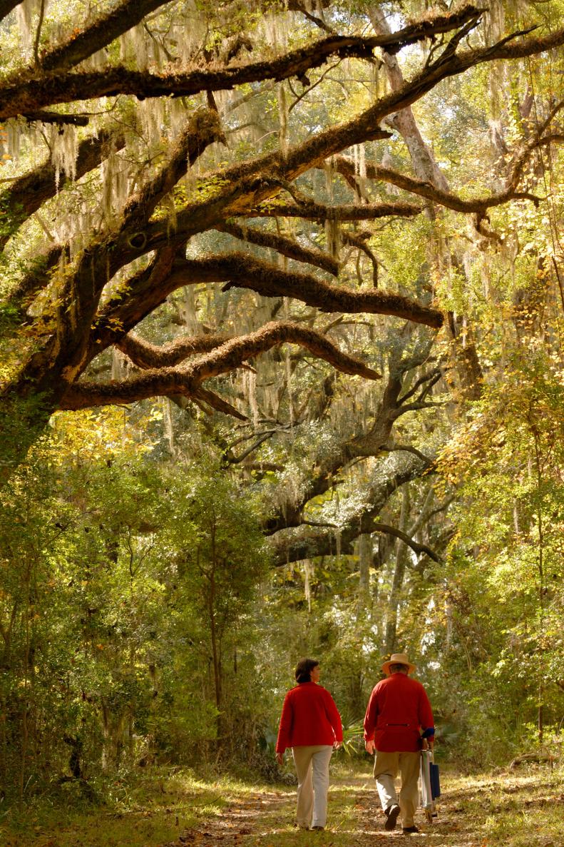 Anne Nelson and Glenn Stanford walk together along the shaded trail at Altamaha Town Preserve in Beaufort County, SC. Spanish moss, Yemassee Indians, National Register of Historic Places.