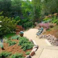 Lush Green Plants Enhance Backyard's Natural Beauty