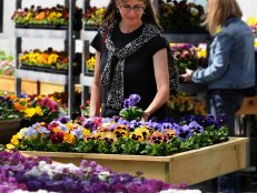 Shopping at the Garden Center