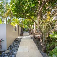 Paved Path Leads Through Tropical Garden