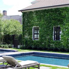 Ivy Wall Thrives in Contemporary Backyard