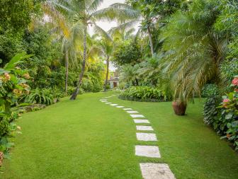 tropical garden with paved path