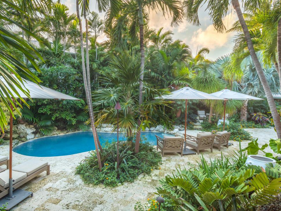 tropical garden with contemporary pool
