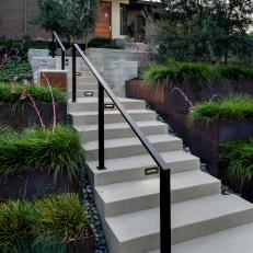 Polished Concrete Steps Lined With Plants