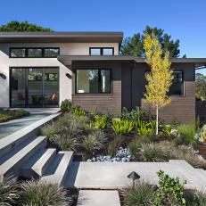 Concrete Steps Add Dimension to Outdoor Space