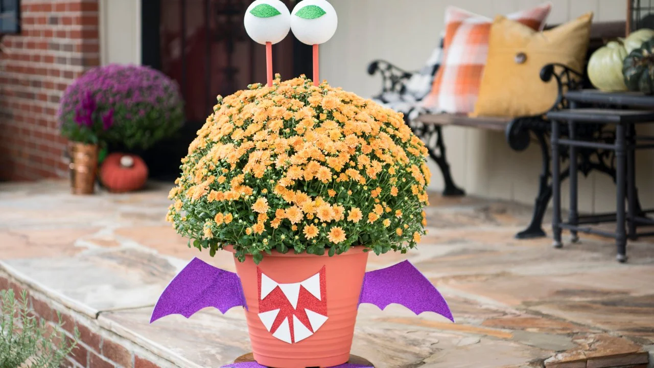 Halloween Front Porch Fix-Up: Magic a Mum Into a Monster | HGTV