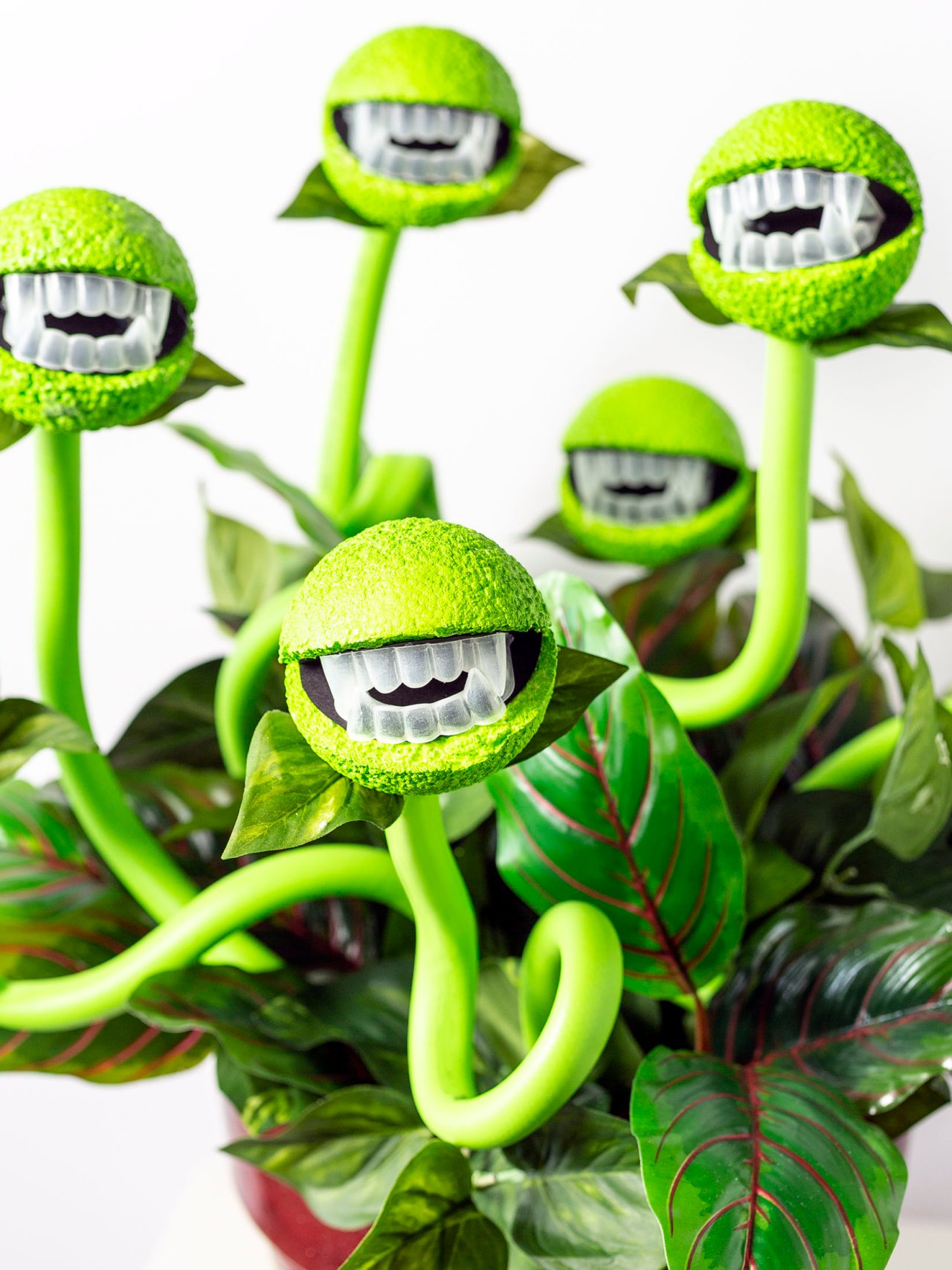 Halloween Decor: Turn a Peaceful Plant Into a Man-Eating Monster | HGTV