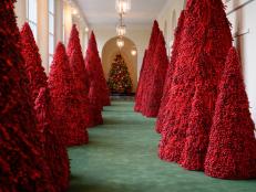 This year’s holiday décor at 1600 Pennsylvania Avenue features 57 trees, 105 wreaths more than 20,000 feet of holiday lights – and a whole lot of crimson. Get a guided tour when Alison Victoria hosts HGTV's 'White House Christmas' special.