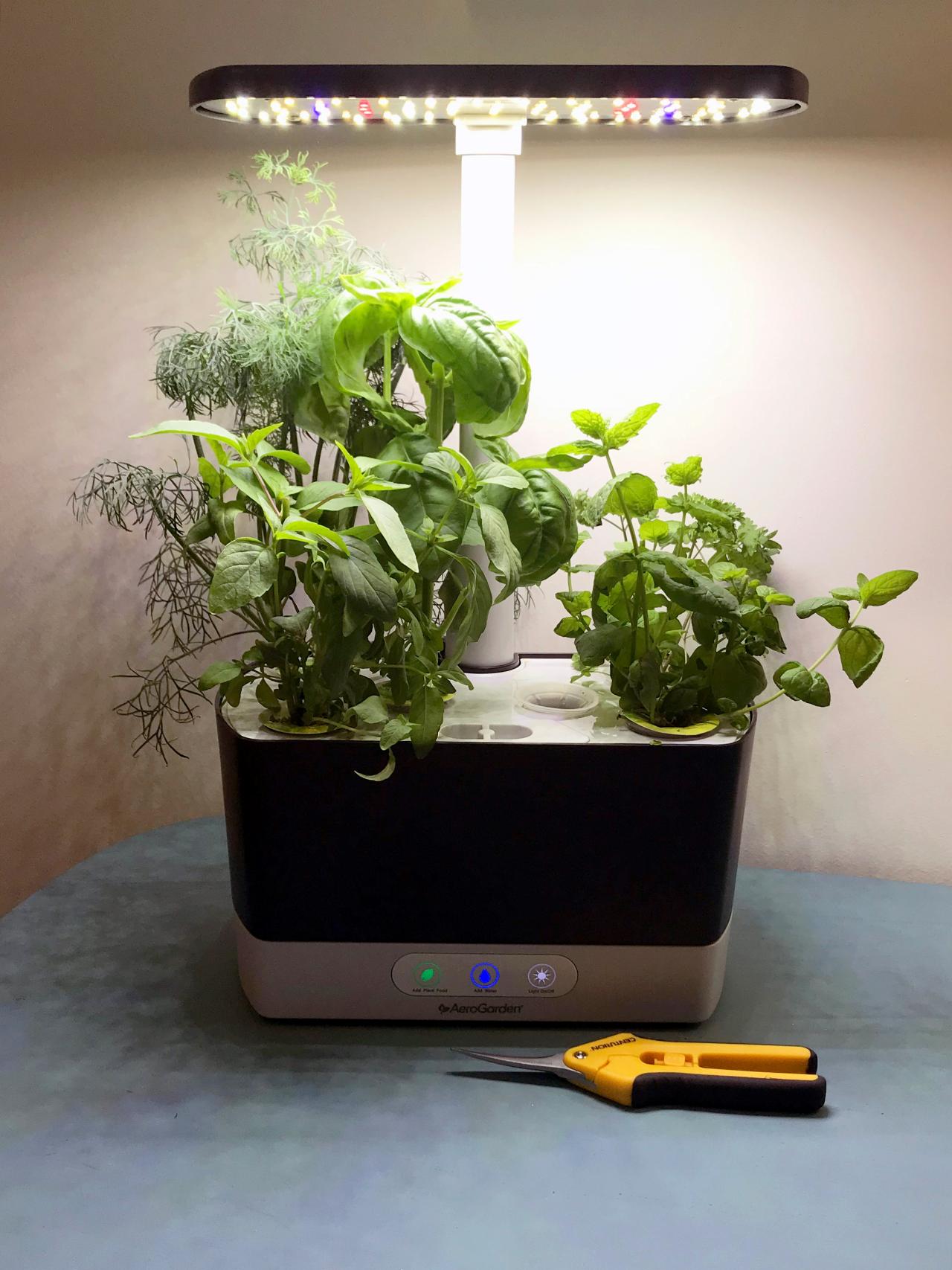 table top herb gardens